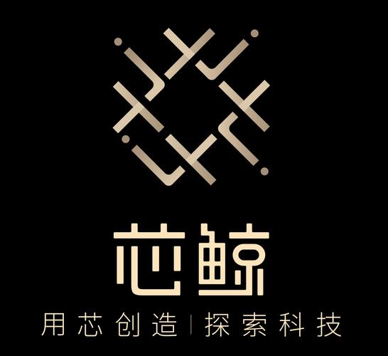上海芯鲸电子科技有限公司